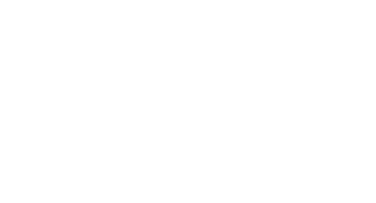 CAM Logo